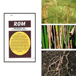 ROM 3 kg Bio Resist Sil | Bio Pesticide | Growth Promoter and Disease Suppressor